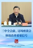 三中全会前，这场座谈