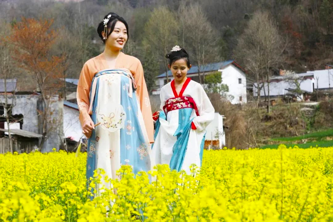 陇南康县：油菜花海 为你而开